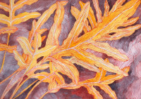 /album/veronikakavanova/img-0243-jpg/